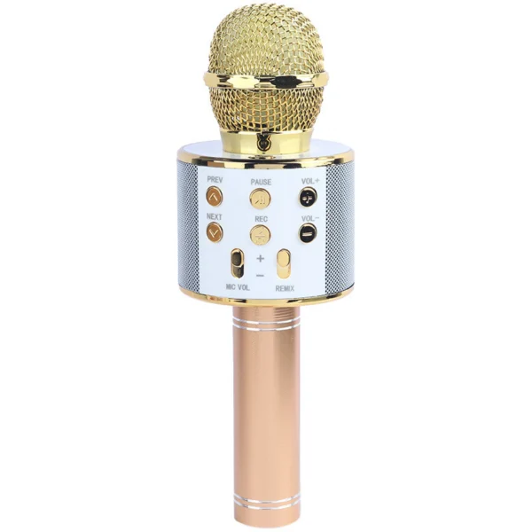میکروفون اسپیکر گودفری WS-858L تعمیری