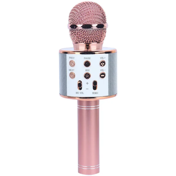 میکروفون اسپیکر گودفری WS-858L تعمیری