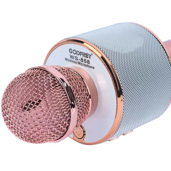 میکروفون اسپیکر گودفری WS-858L تعمیری