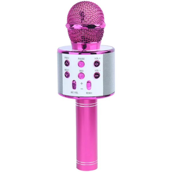 میکروفون اسپیکر گودفری WS-858L تعمیری