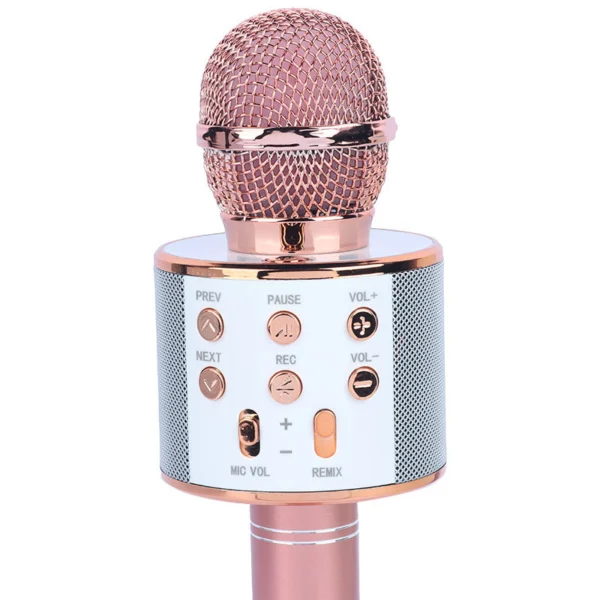 میکروفون اسپیکر گودفری WS-858L تعمیری