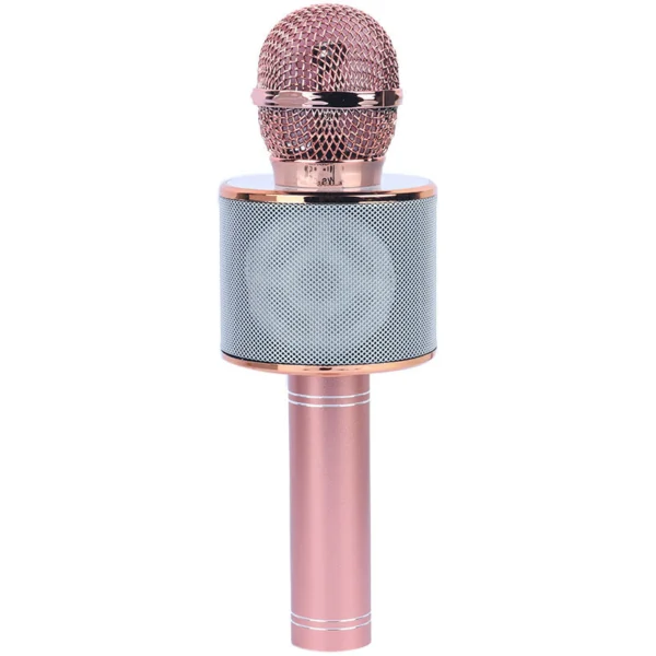 میکروفون اسپیکر گودفری WS-858L تعمیری
