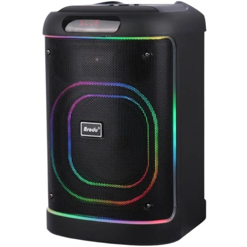 اسپیکر بلوتوثی برودو BTS-2105 + میکروفون