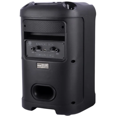 اسپیکر بلوتوثی برودو BTS-2105 + میکروفون