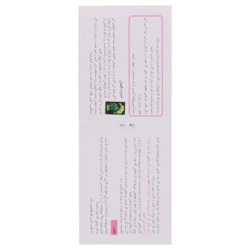 بازی فکری شب پره متقلب بردباز کد 010109 - تصویر 7