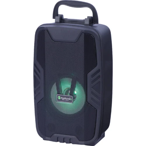 اسپیکر بلوتوثی نیو ریکسینگ NRG-401A