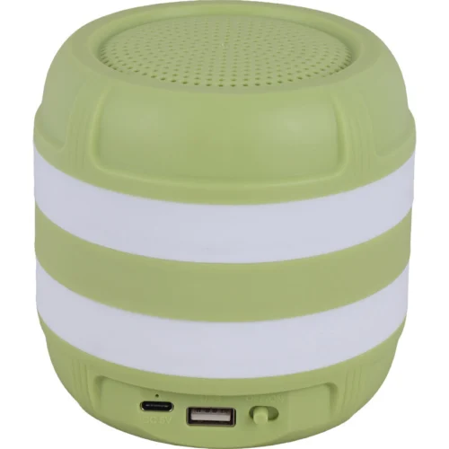 اسپیکر بلوتوثی گریت نایس GTS-1870 + میکروفون