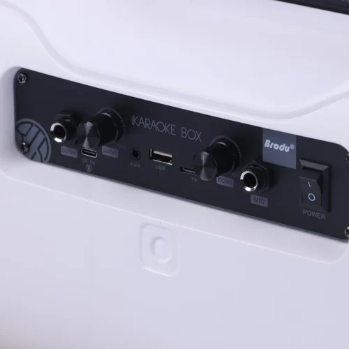 اسپیکر بلوتوثی برودو BTS-2313 + میکروفون