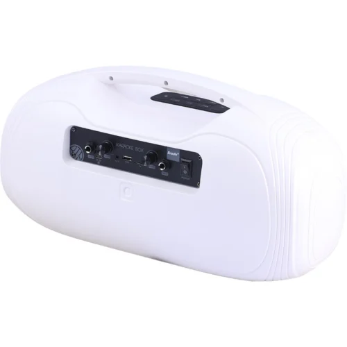 اسپیکر بلوتوثی برودو BTS-2313 + میکروفون