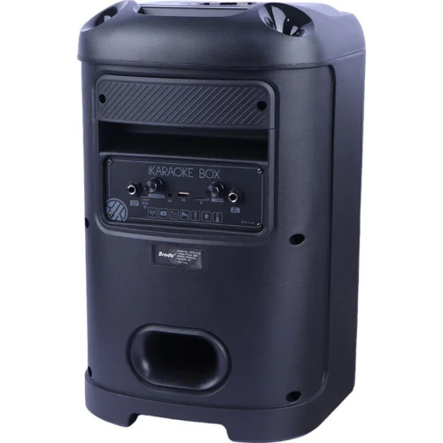 اسپیکر بلوتوثی برودو BTS-2102 + میکروفون