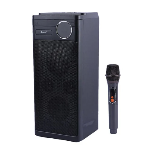 اسپیکر بلوتوثی برودو BTS-2243 + میکروفون