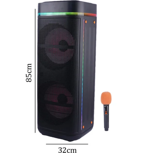 اسپیکر چمدانی بلوتوثی برودو BTS-2459 + میکروفون