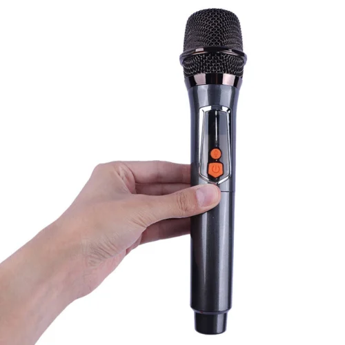 اسپیکر چمدانی بلوتوثی برودو BTS-2510 + میکروفون