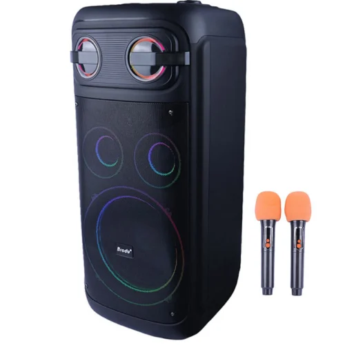 اسپیکر چمدانی بلوتوثی برودو BTS-2510 + میکروفون