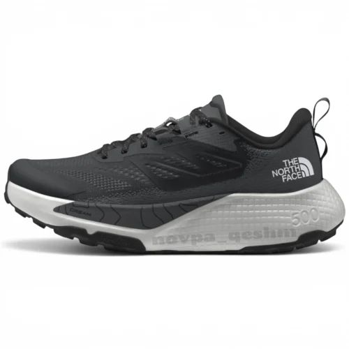 کفش کتونی نورث فیس آلتامسا 500 | NORTH FACE Altamesa 500 trail running Shoes